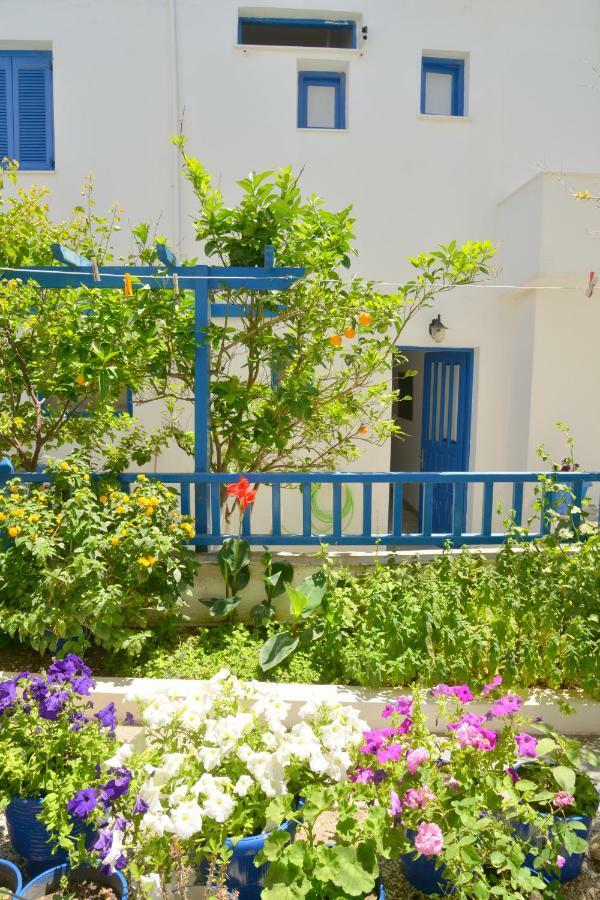 Apartment Veletas